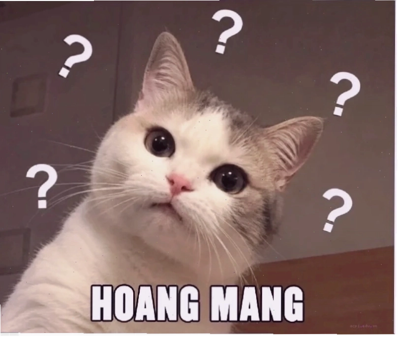 hoang mang meme anime hoang mang meme nhân vật anime