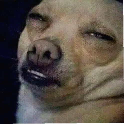 hoang mang meme siêu cấp hoang mang meme siêu cấp
