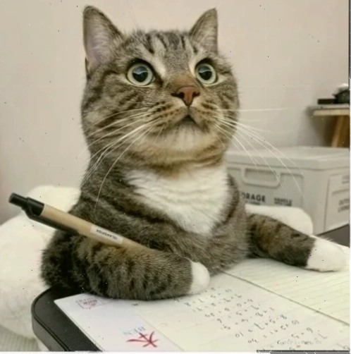 Học sinh khóc thét trước đề cương cùng meme học bài khóc
