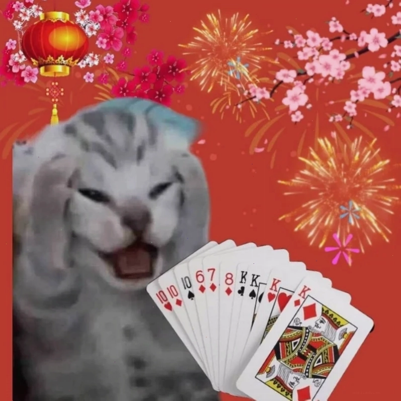 Học tập thi cử tet meme