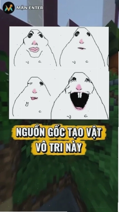 hư này meme chinh phục