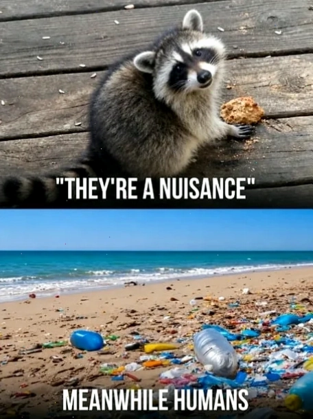 humans meme hài hước