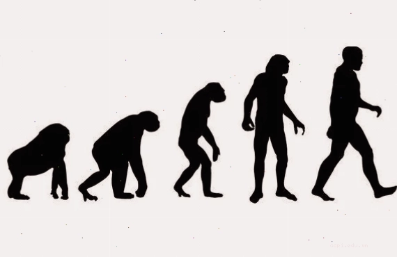 humans meme nhiều khung hình