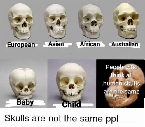 humans meme tươi mới