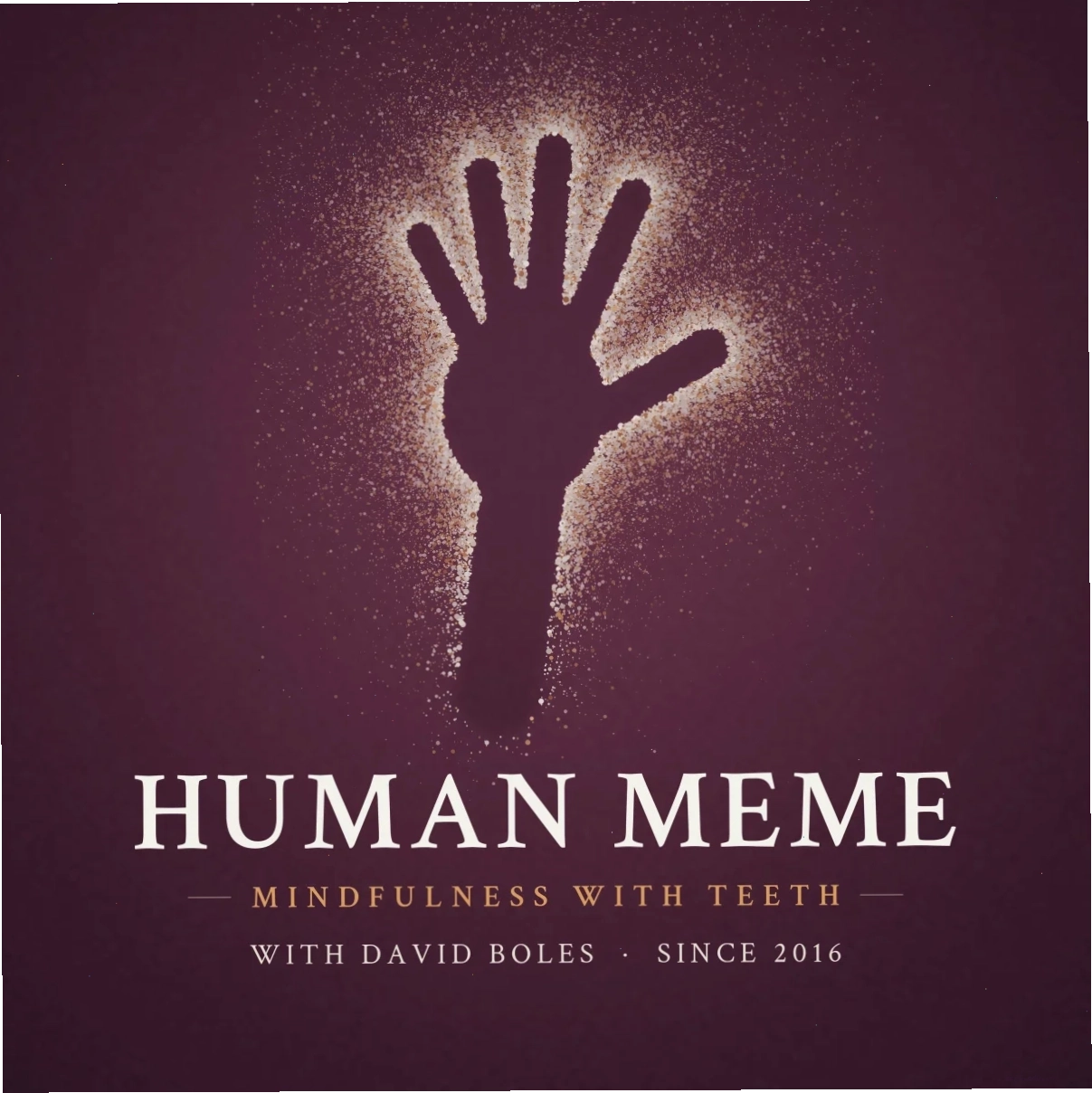 humans meme vui
