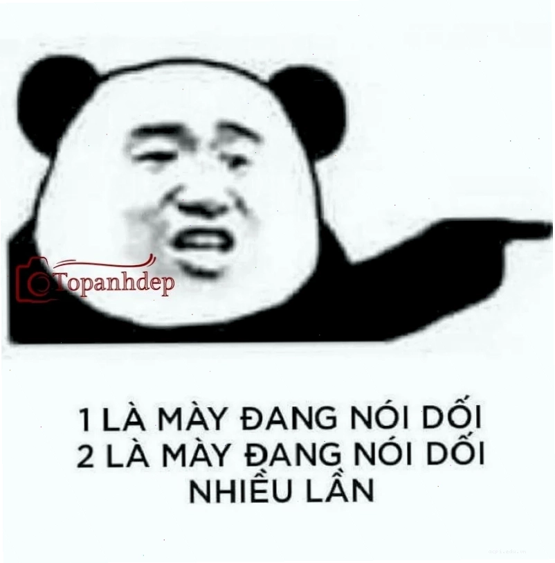 Husky chỉ tay meme Husky chỉ tay meme đang trêu chọc bạn bè