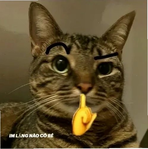 im lặng meme châm biếm