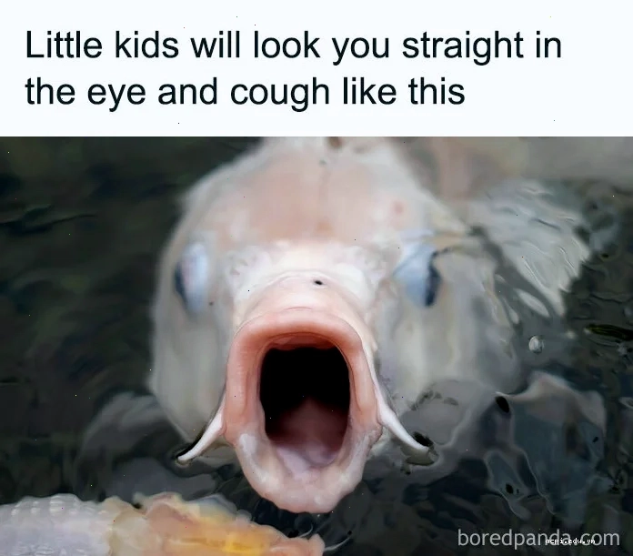 interesting meme hài
