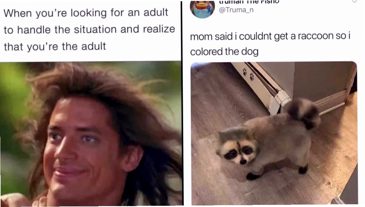 interesting meme vui