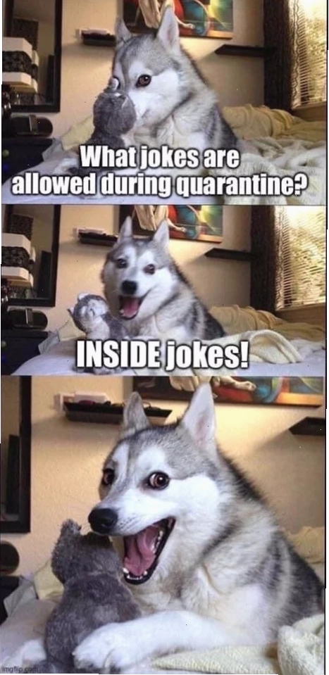 joke meme chất