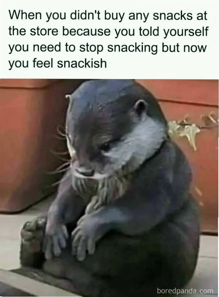 joke meme khó đỡ