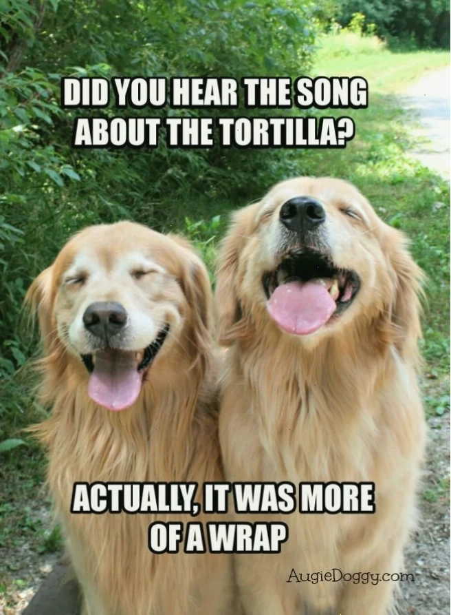 joke meme vui nhộn