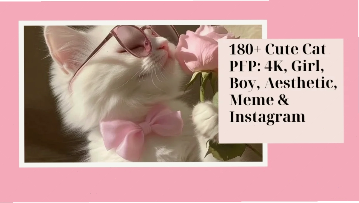 Kết thúc hành trình khám phá aestheticc meme