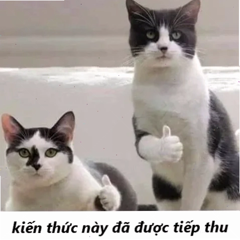 khai sáng meme độc lạ