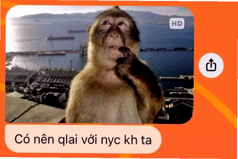 khỉ meme buồn