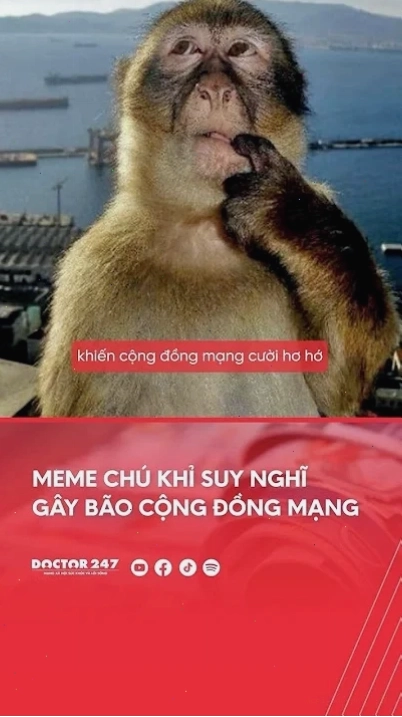 khỉ meme đưa tay