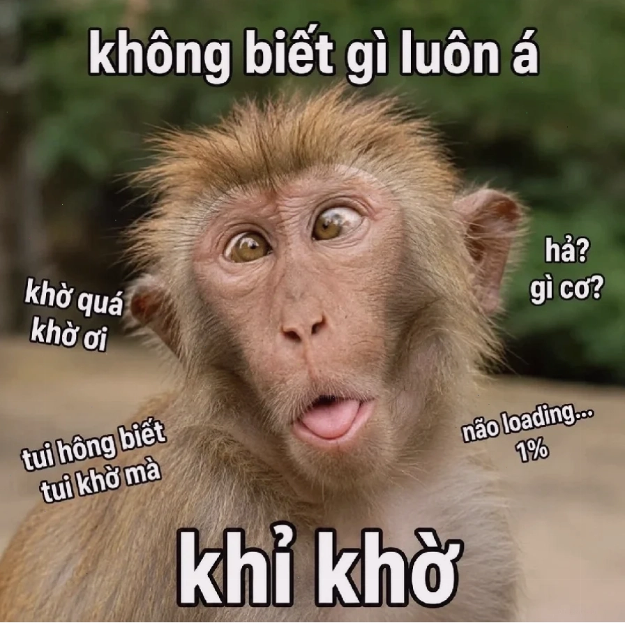 khỉ meme hỏi