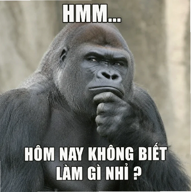khỉ meme ôm đầu bất lực