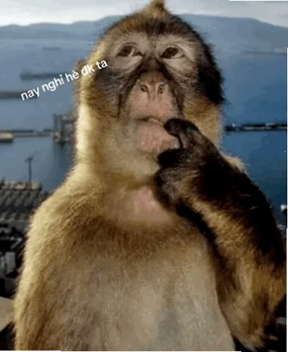 khỉ meme suy nghĩ cực căng