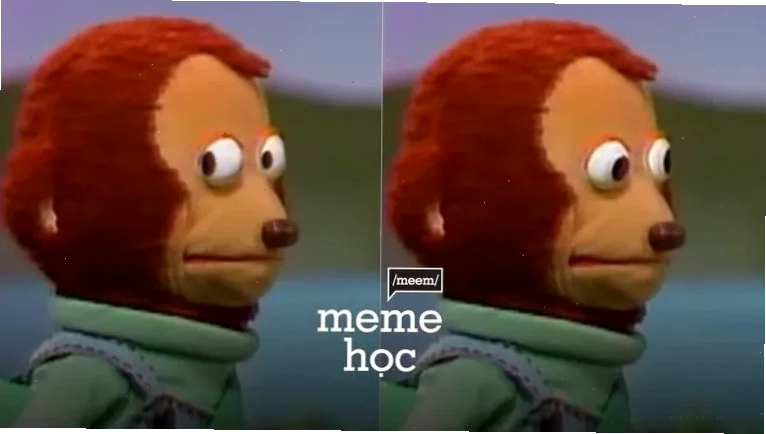 khỉ meme xin ăn