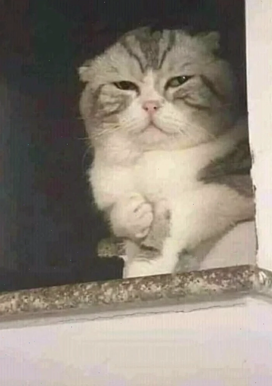 Khoảnh khắc đau ở đây này meme đời thực