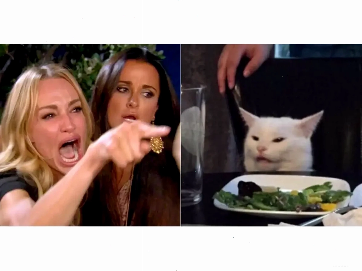 lady meme face