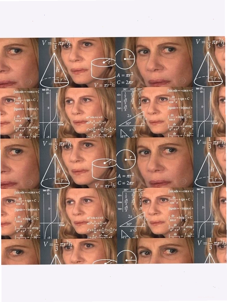 lady meme với math