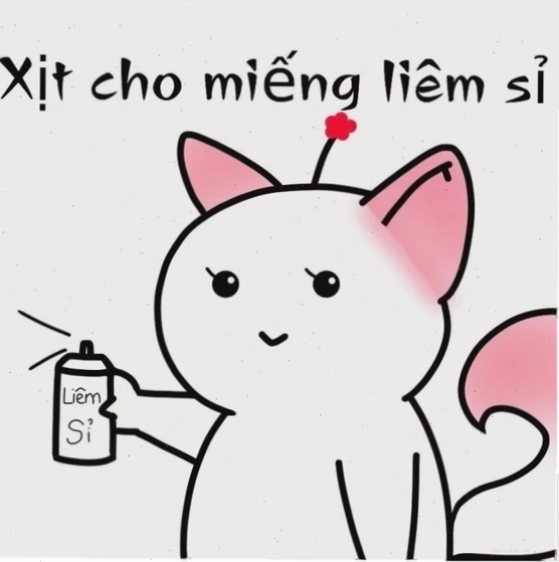 liêm sỉ meme