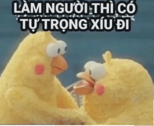 liêm sỉ meme