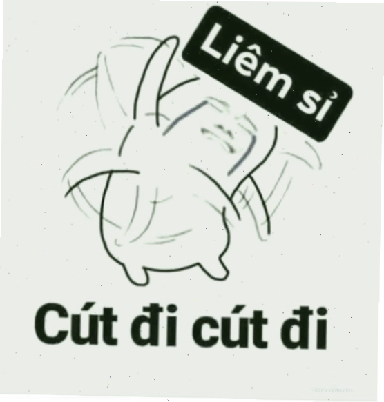 liêm sỉ meme hài hước