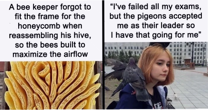 Little memes cute