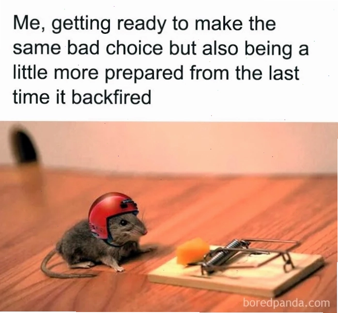 Little memes hai vai