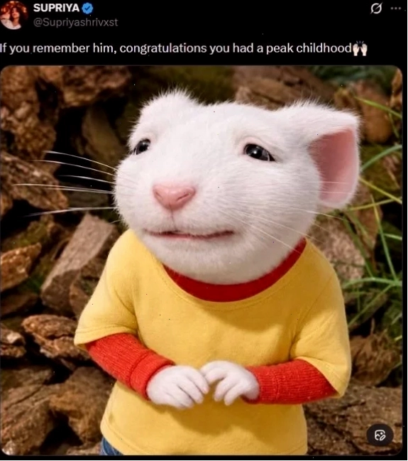 Little memes noi bat