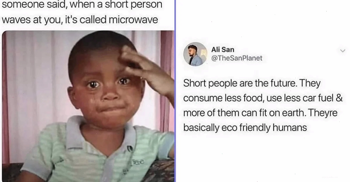 Little memes thu vi