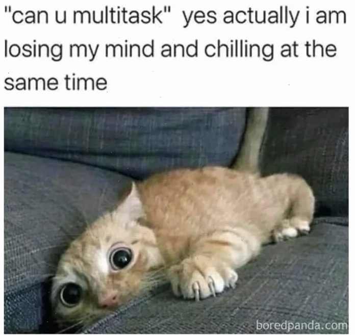 Little memes vui
