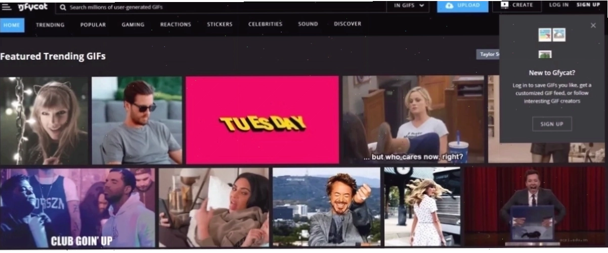 Lựa chọn màu sắc trên meme website