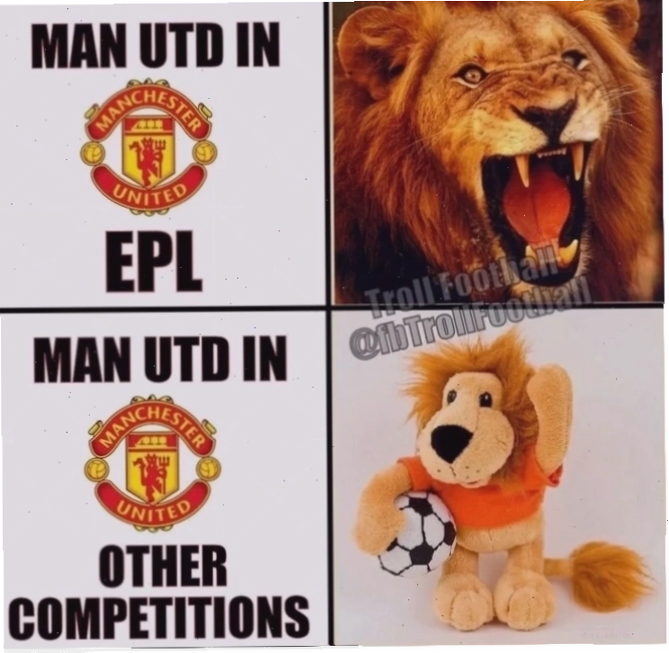 manchester unit funny manchester united troll memes