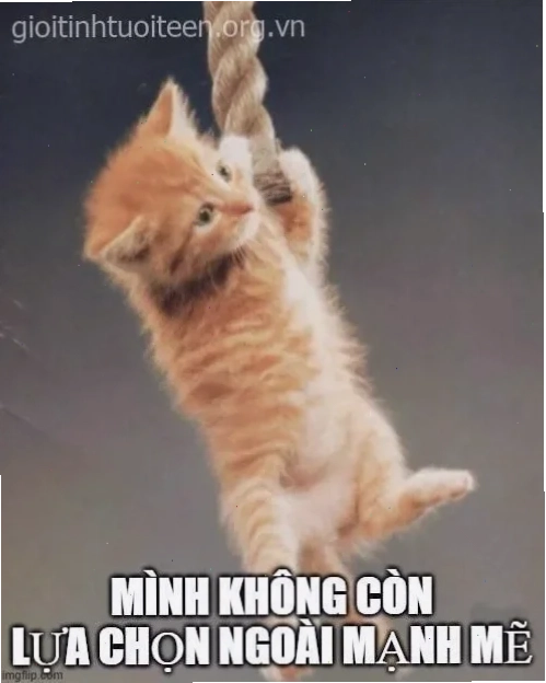 mạnh mẽ lên meme cháy