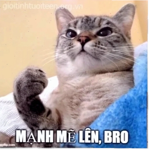 mạnh mẽ lên meme gấu trúc