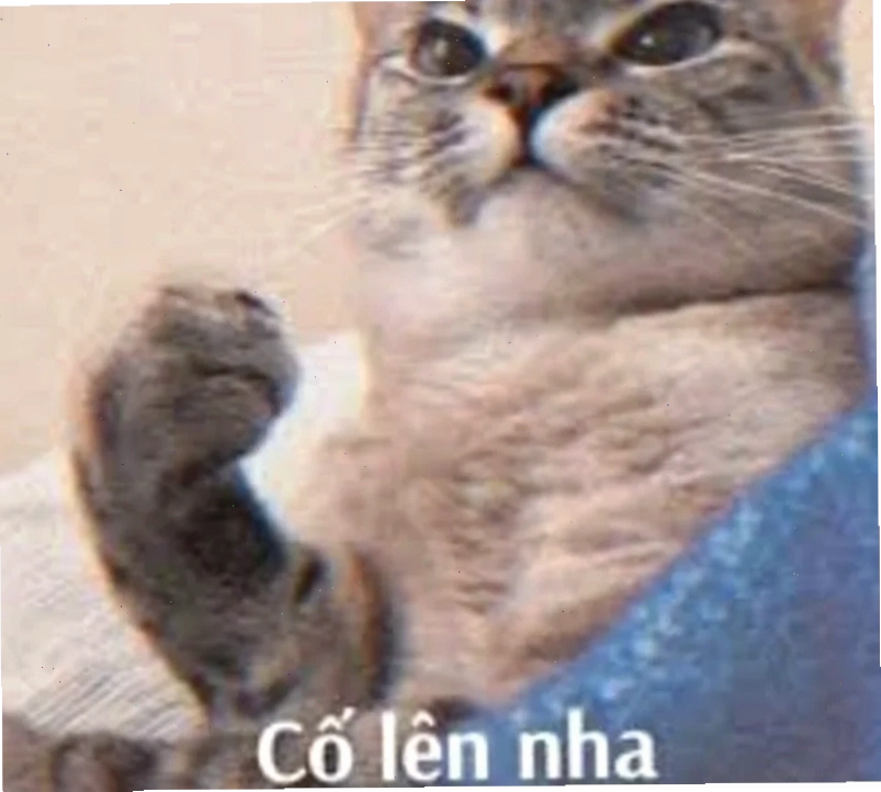 mạnh mẽ lên meme quyết đoán
