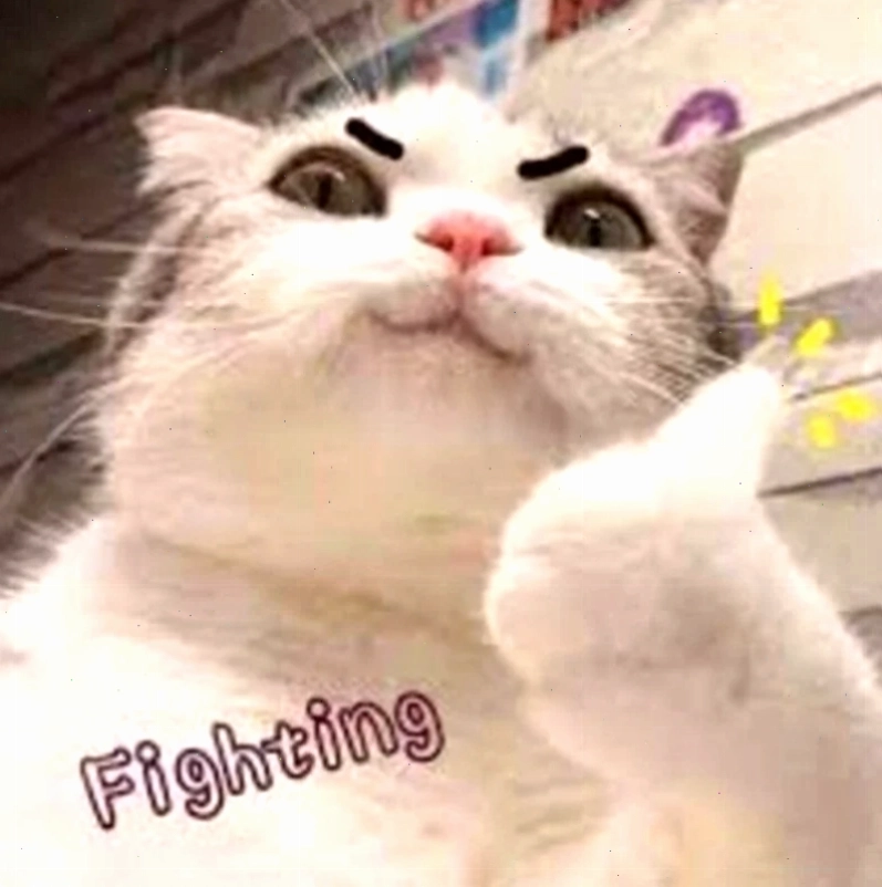 mạnh mẽ lên meme yêu thích