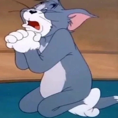 Mặt cầu xin meme hài hước của chú chó