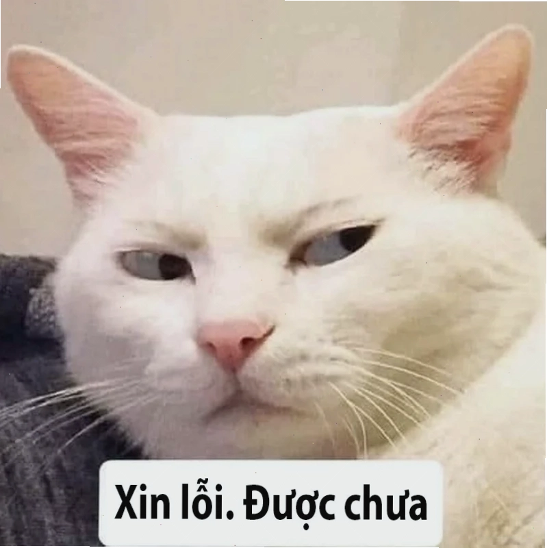 Mặt cầu xin meme kiểu run rẩy