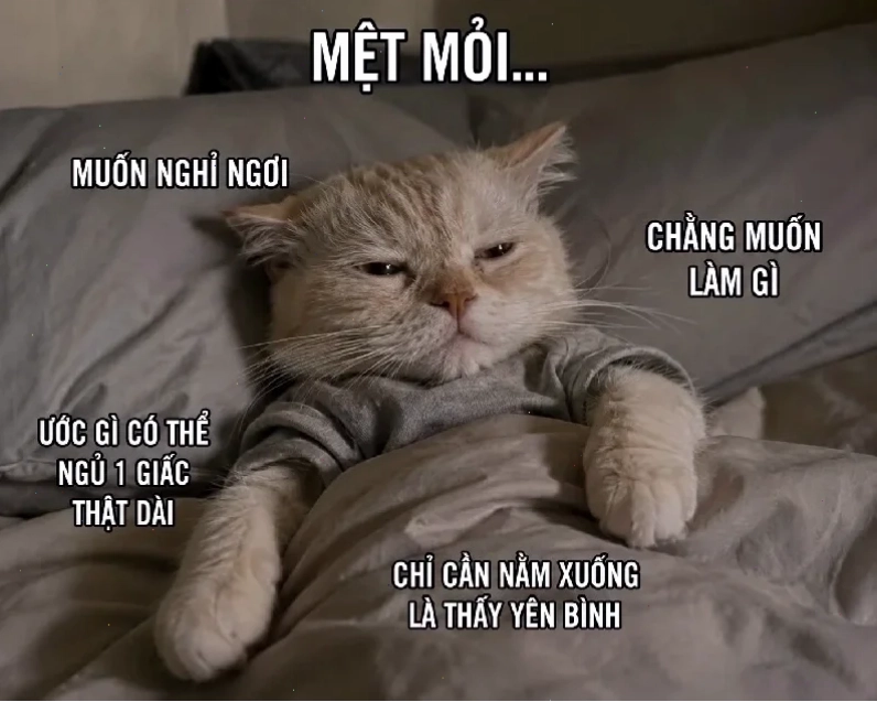 mặt mệt mỏi meme