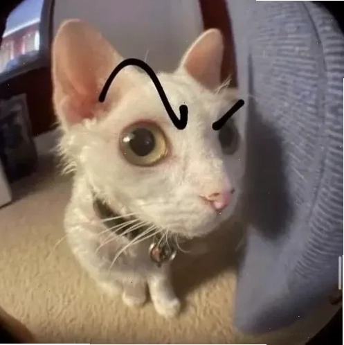 mắt to meme cười