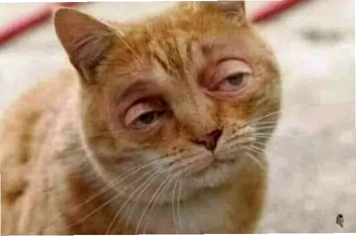 mắt to meme lườm