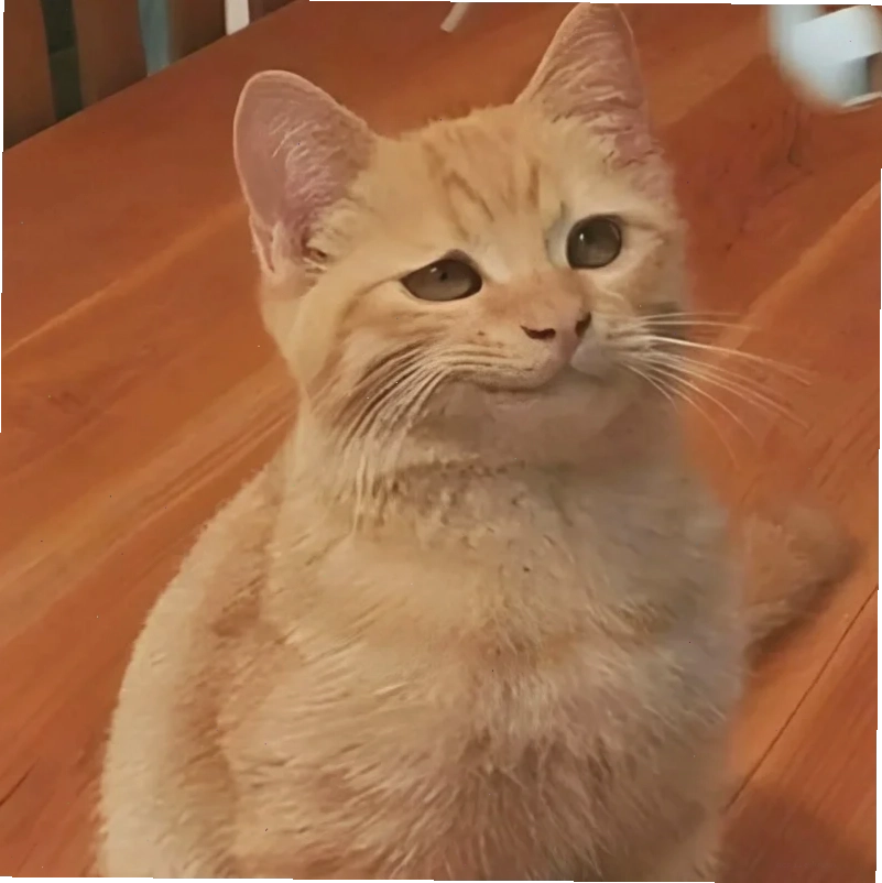 mắt to meme ngạc nhiên