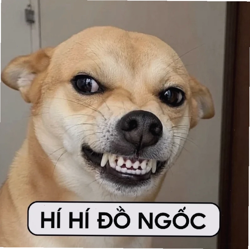 mắt to meme vui