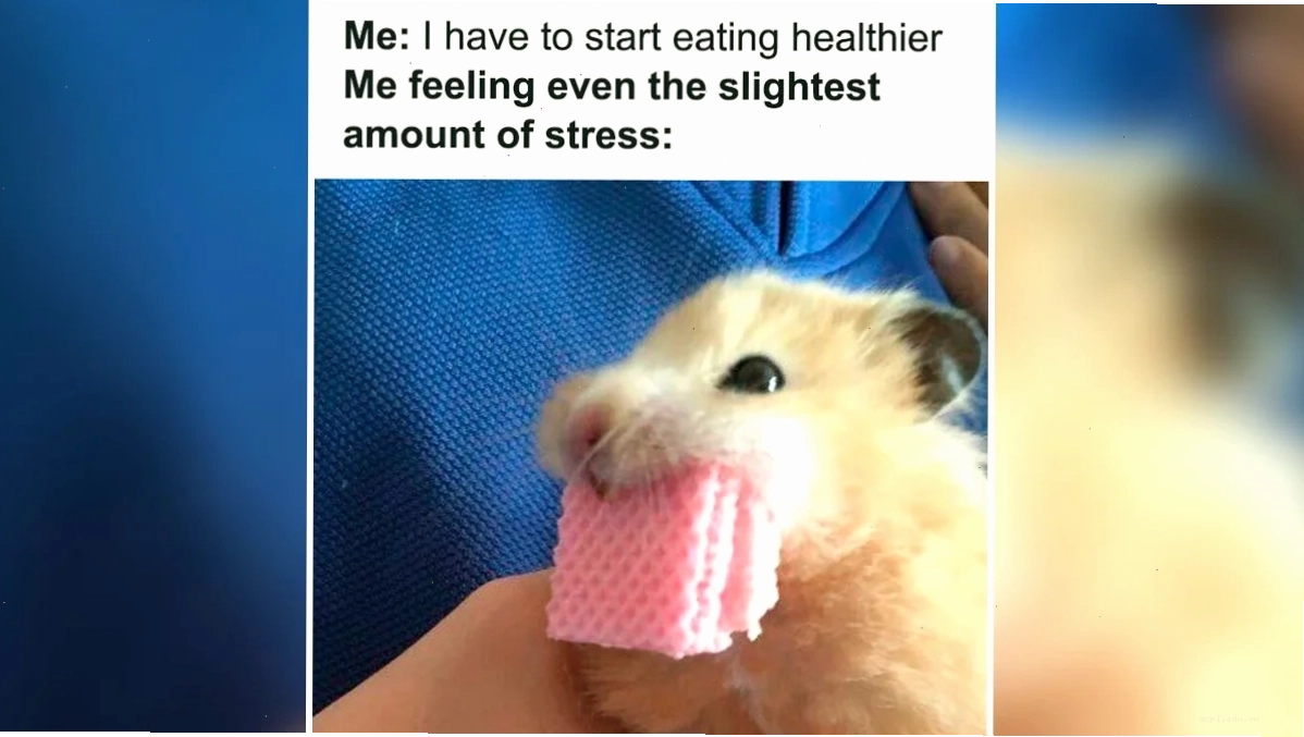 Mẫu meme sẵn có