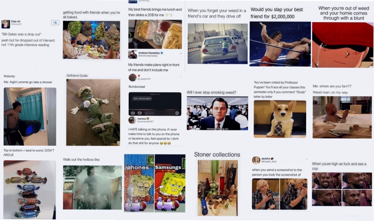 meme 100k chất